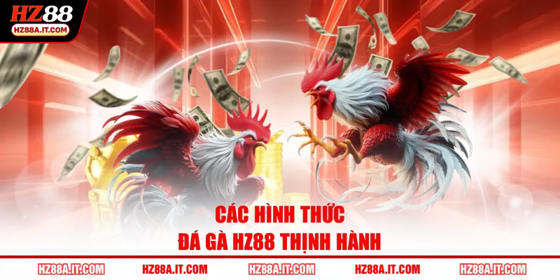 Các hình thức đá gà HZ88 thịnh hành