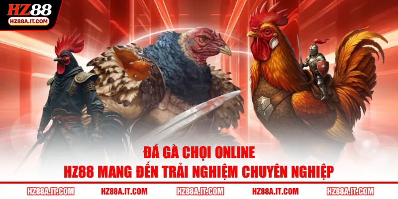 Đá gà chọi online HZ88 mang đến trải nghiệm chuyên nghiệp