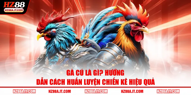 Gà Cú Là Gì