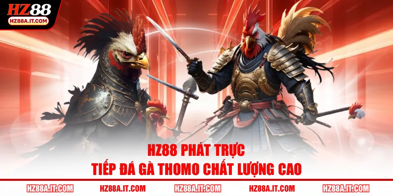 HZ88 phát trực tiếp đá gà Thomo chất lượng cao