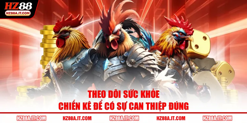 Theo dõi sức khỏe chiến kê để có sự can thiệp đúng