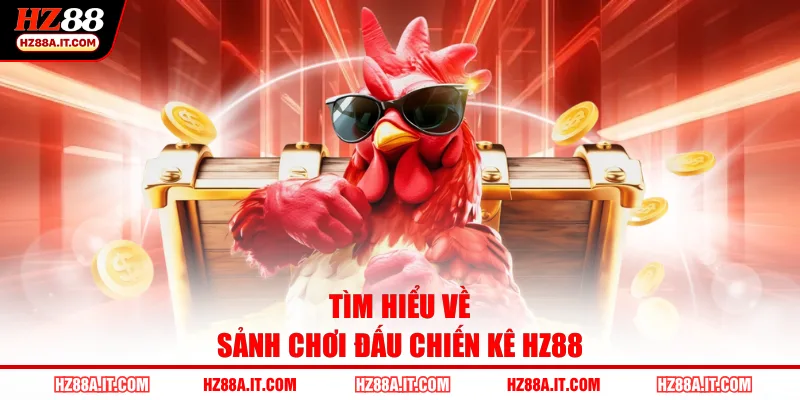 Tìm hiểu về sảnh chơi đấu chiến kê HZ88